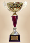 ������� �� Thai Airways "Best Luxury Travel Agency", 2007 �.